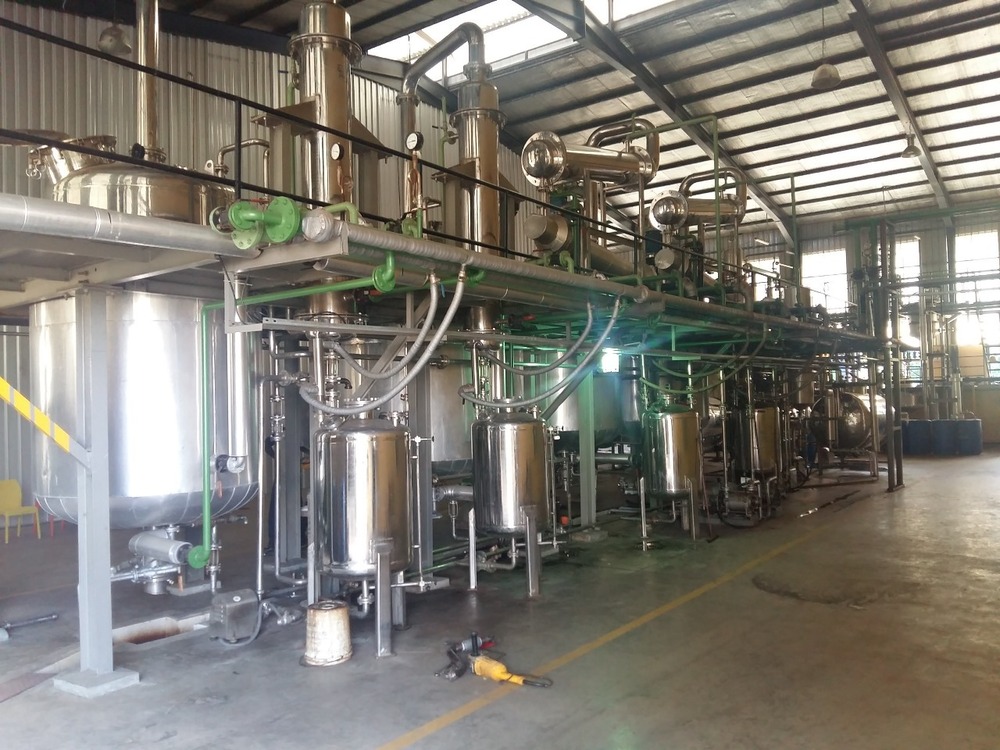 Beetroot Extract Manufacturer of India