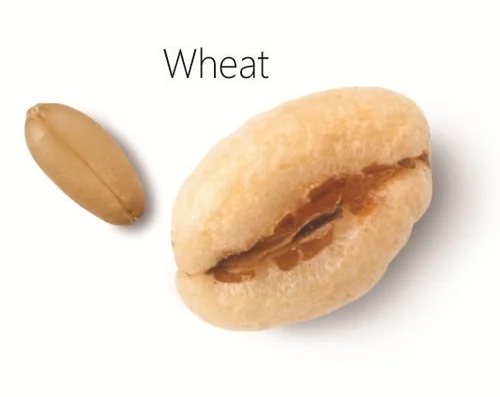 Wheat puff  Puffed Wheat