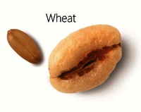 Wheat puff  Puffed Wheat