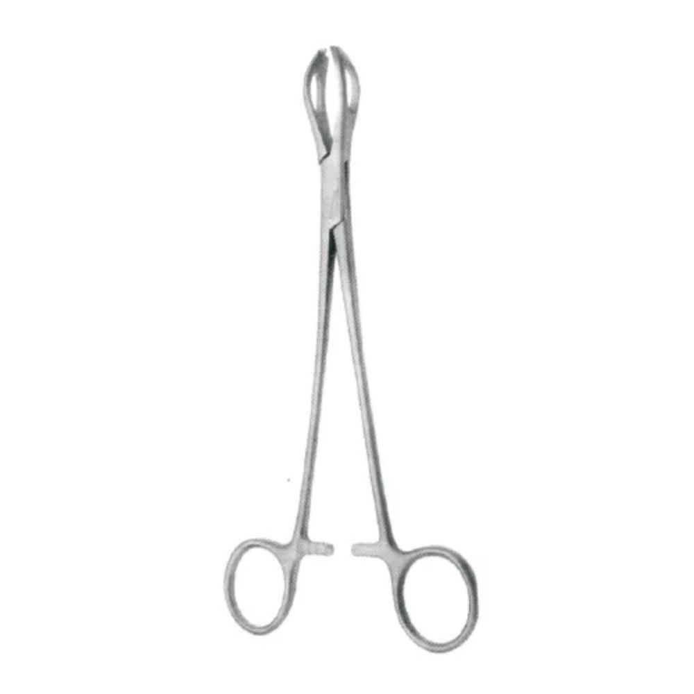 Lane Tissue Forceps - Stainless Steel, Non-ratcheted And Ratcheted Designs, Precision Grasping For Delicate Tissues In Surgery And Lab Use