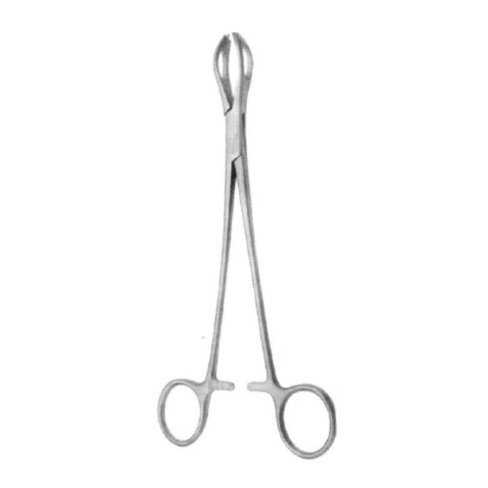 LANE TISSUE FORCEPS