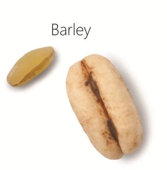 Puffed Barley Cereal