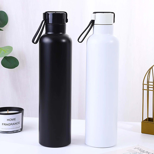 Travel SS Water Bottle