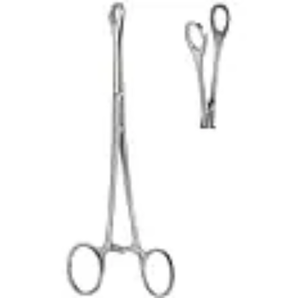 Sponge Holding Forceps - Stainless Steel, Looped Serrated Jaws For Effective Grasping And Secure Ratchet Mechanism, Ergonomic Design For Comfort And Precision