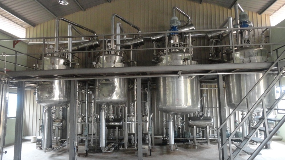 Green Tea Extract Plant Manufacturers Of India