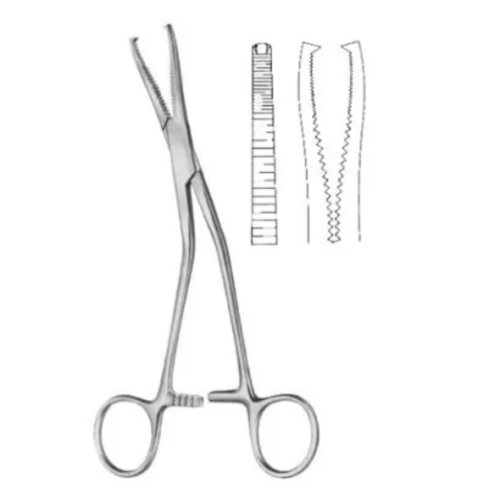 Moynihan Forceps - Stainless Steel, Long Shanks With Short Jaws | Ratcheted Haemostatic Design, Full Horizontal Serrations, Blunt Tips For Dissection