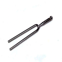 TUNING FORK S.S