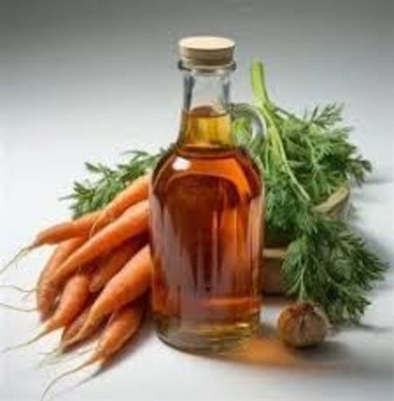 Carrot Root Oil