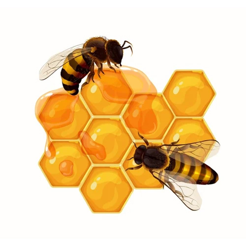 Small Bee Honey - Grade: Food Grade