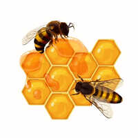 Small Bee Forest Honey
