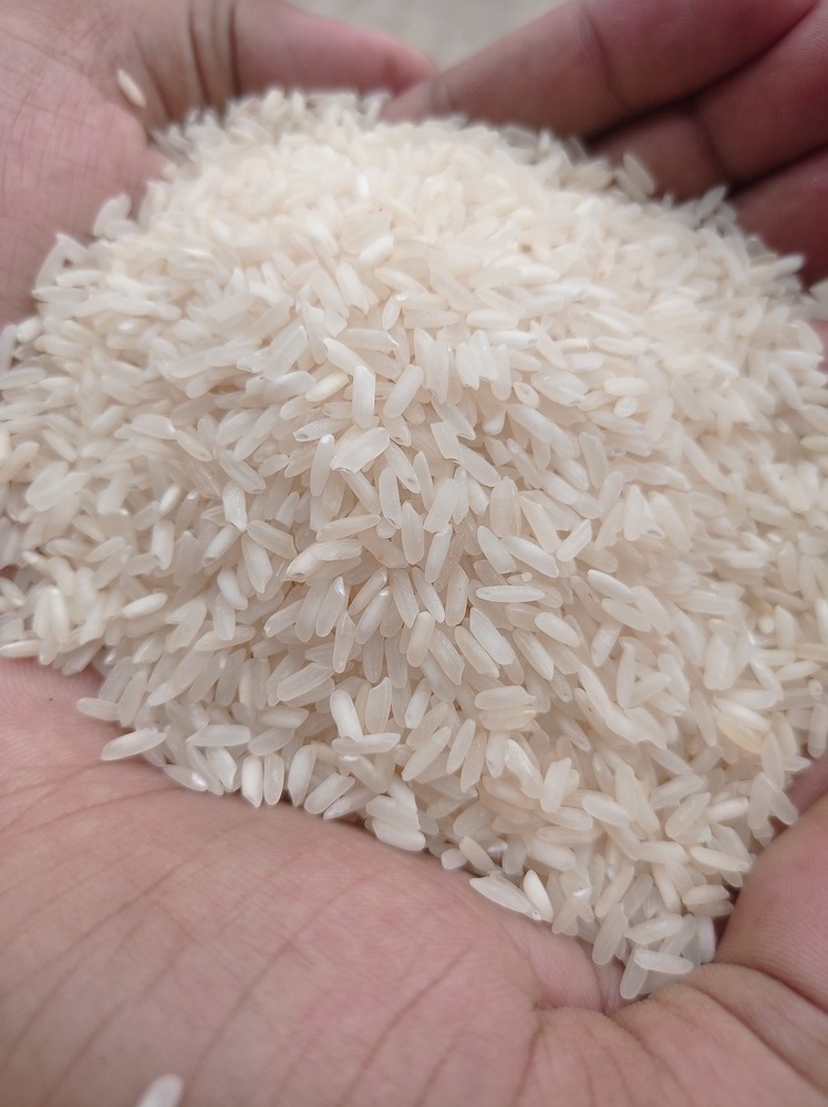 Royal Silky Rice - Broken (%): Less Than 0.5 %