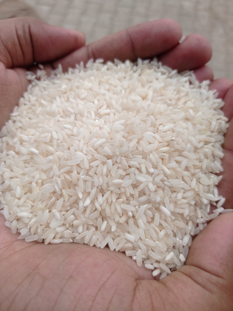 141 Tohfa Rice Silky