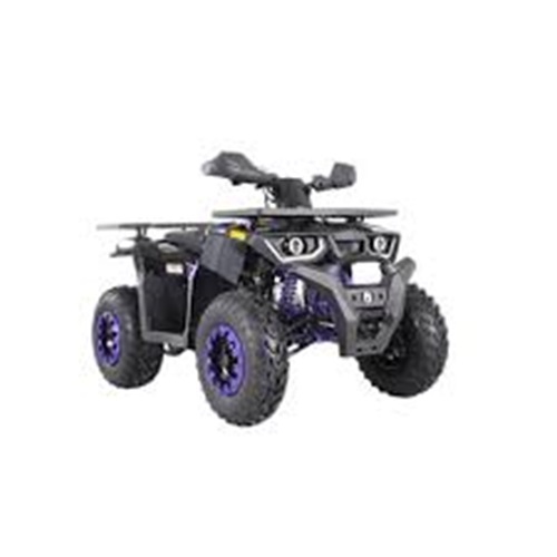 Coleman Powersports 169cc Gas-Powered Adult ATV, AT200-BP ATV