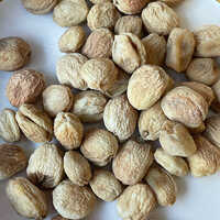 Dried White Apricot - Cultivation Type: Open Air