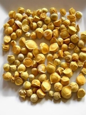 Fresh Snow Mountain Garlic