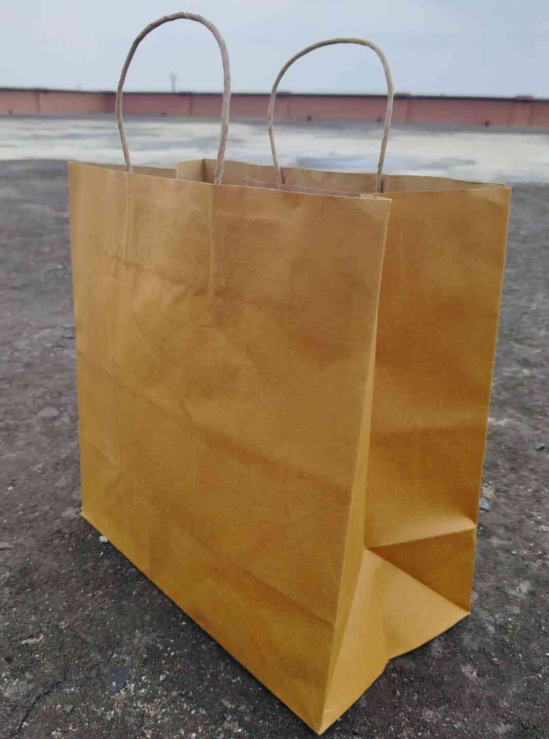 Brown Kraft Paper Bag ( 8