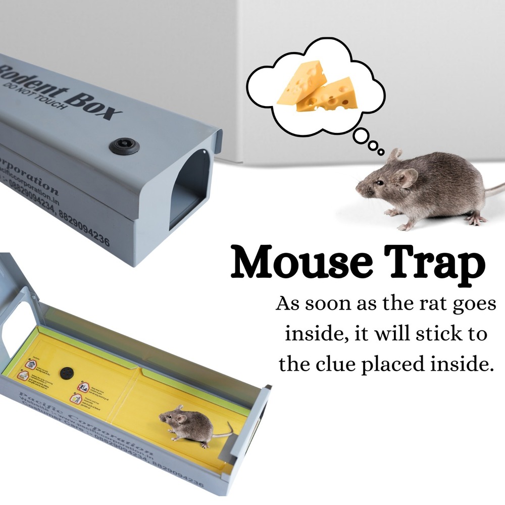 Rodent Bait Station - Iron, 10 X 14 X 4.5 Inches, Gray | Effective Rat & Mouse Control