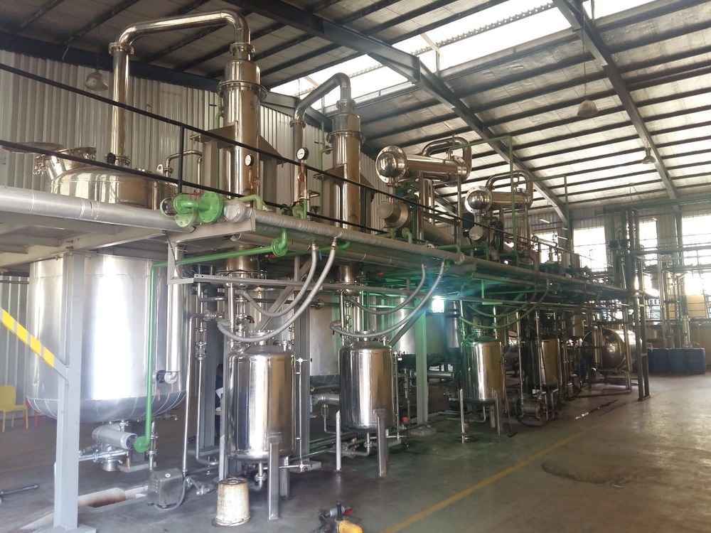 Bavachi Seed Extract Plant Manufacturer of India