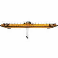 Double Beam EOT Crane