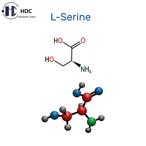 L- Serine