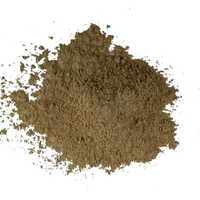 Giloy Powder