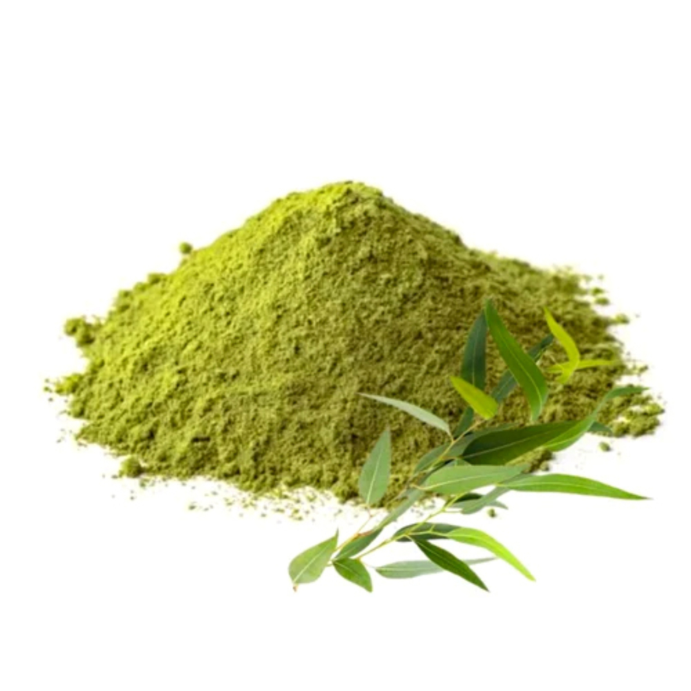 Nilgiri Leaves Powder - Cultivation Type: Organic
