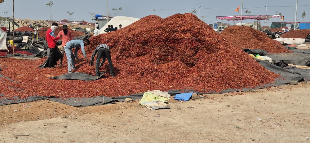 Chilli Powder - Feature: Good Quality