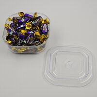 CP 500 Small Container (CPSQ8)