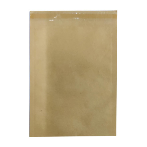 Plain Paper Courier Bag