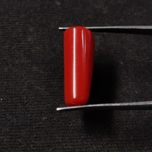 Natural Red Coral
