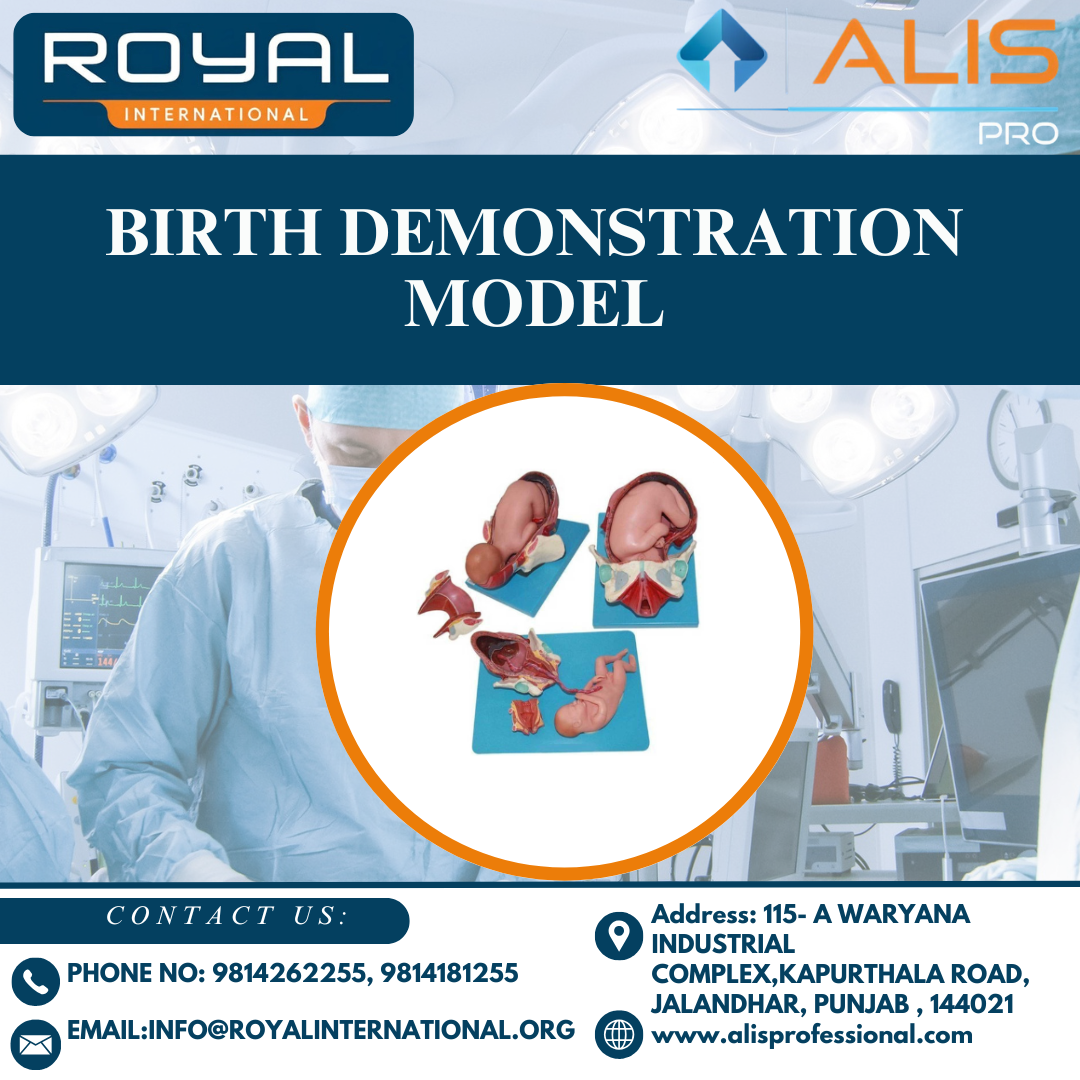 Birth Demonstration Model - High-quality Plastic, Life-size | Multicolor, Lightweight, Manual Operation, Portable For Medical Education Training