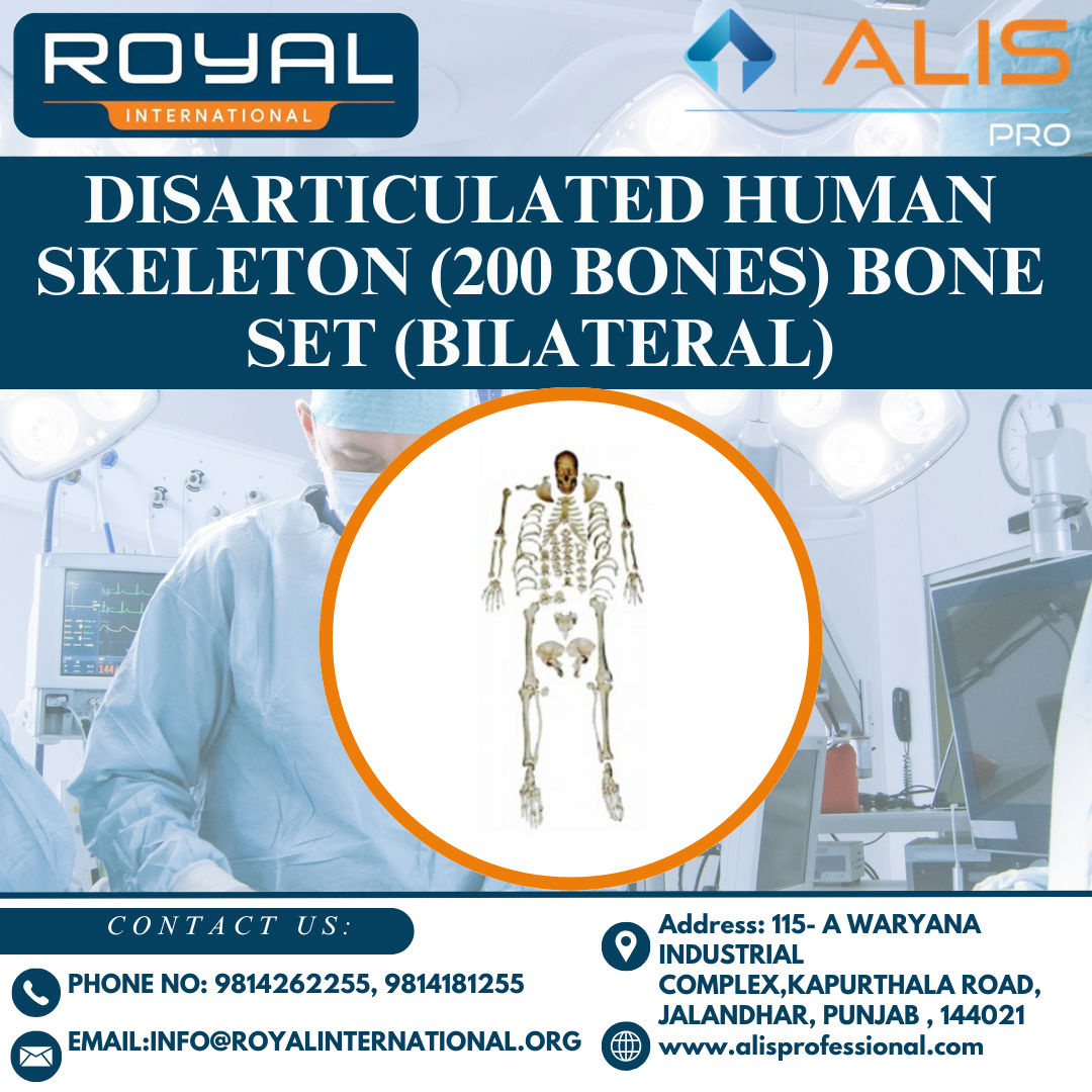 Disarticulated Human Skeleton (200 Bones) Bone Set (Bilateral)