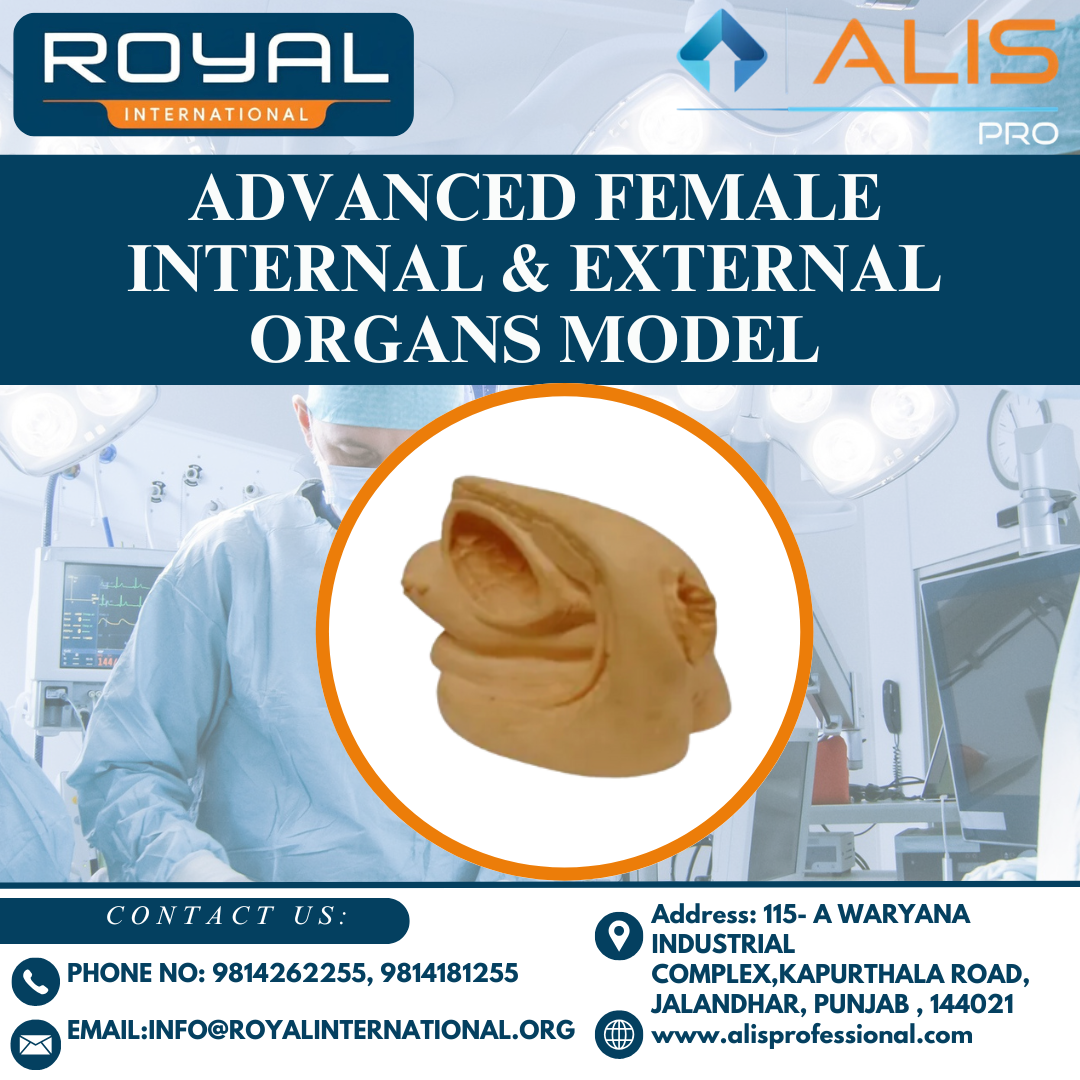 Advanced Female Internal & External Organs Model