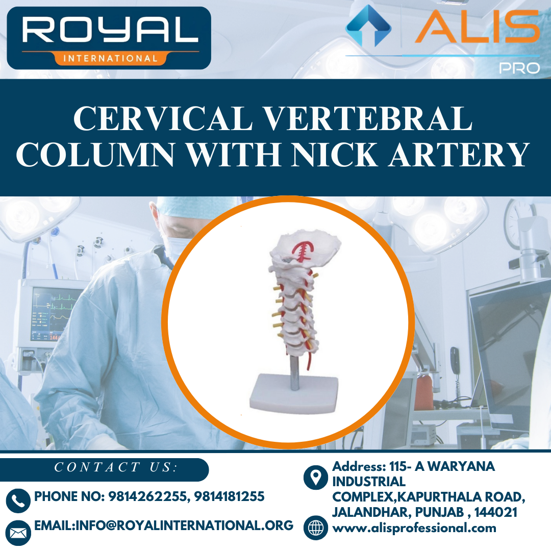 Cervical Vertebral Column with Nick Artery