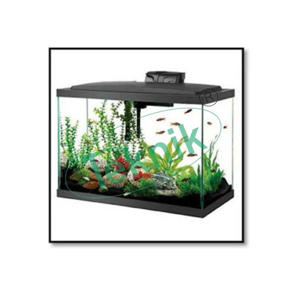 Luminous Frame And Dissection Tank - Dimensions 365x85x265 Mm, Safety Extra-low Voltage Supply, Cold Light For Odor-free Operation, Tool-free Separable Design