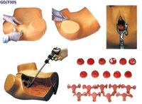GD/F30S - Gynecological Training Models