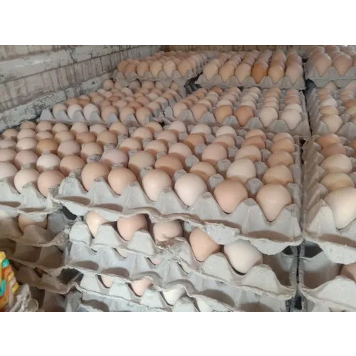 Jumbo Eggs Double Yolk