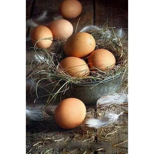 Country Chicken Egg