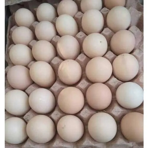 Crack Egg - Egg Origin: Chicken