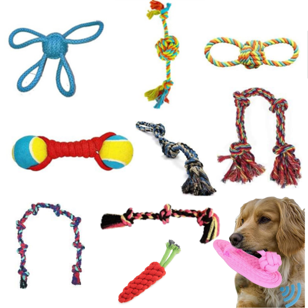 Christmas Gift For Dog - Color: Multicolor