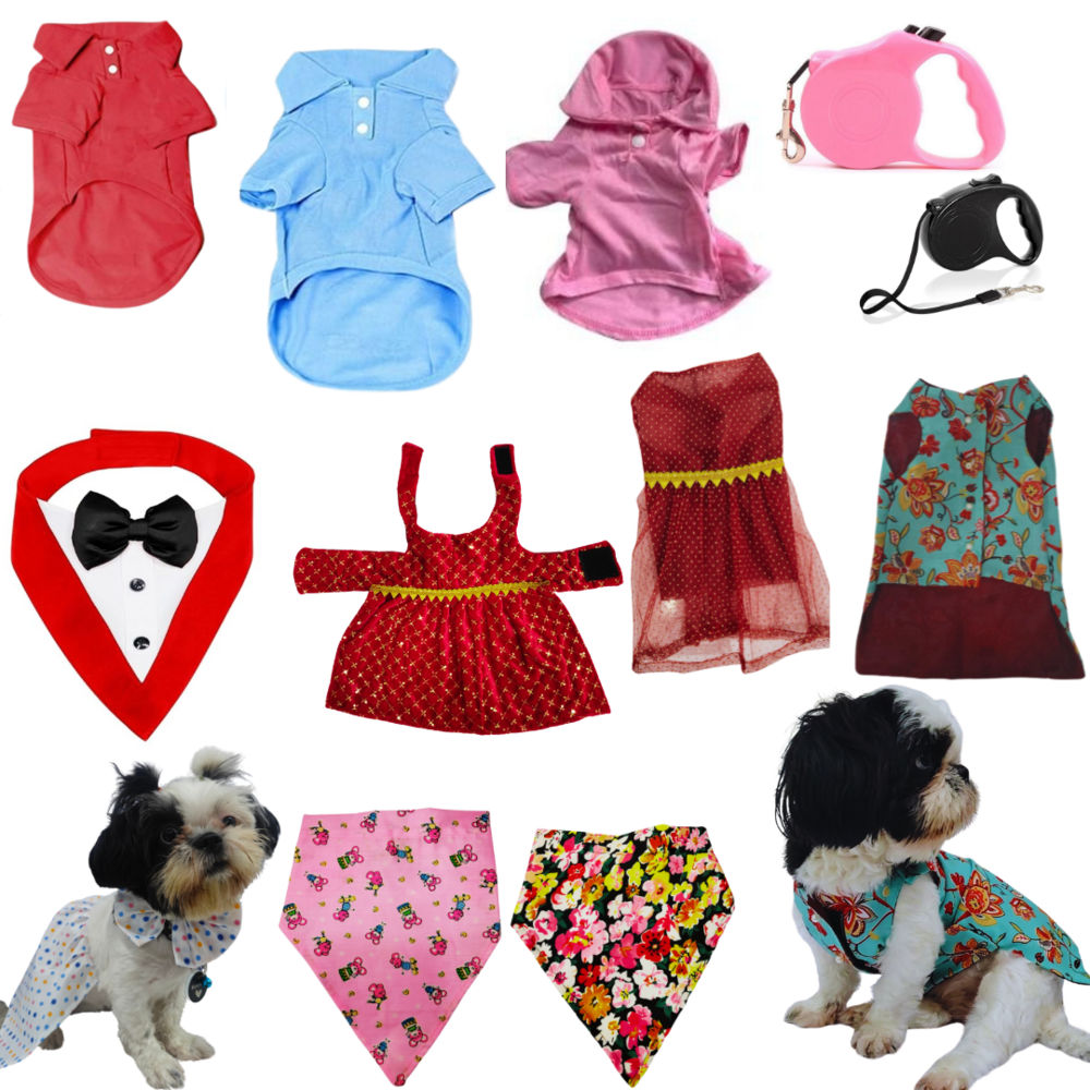 Christmas gift Toys for Dog