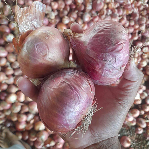 Natural Onion