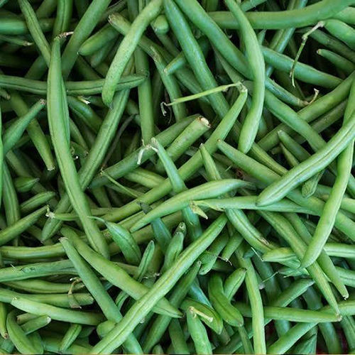 Green Beans