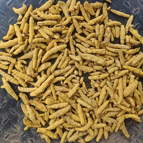 Turmeric Finger - Color: Yellow