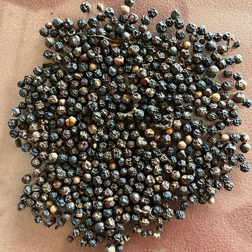 Black Pepper - Grade: Food Grade