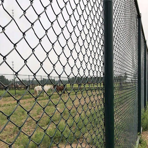 0.5-1 Inch PVC Coated Chain Link Fencing