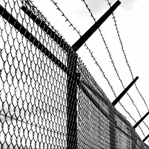 Wire Fencing
