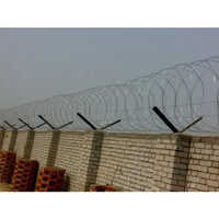 गैलबनाइज़्ड कॉन्सर्टिना कॉइल