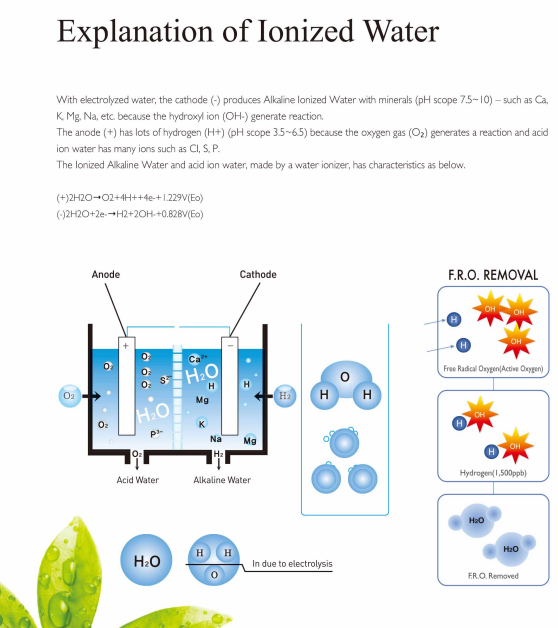 Alkaline water ionizer CREWELTER 9 plates ionized alkaline water Home appliances water treatment appliances