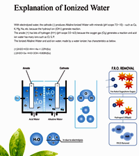 Alkaline water ionizer CREWELTER 9 plates ionized alkaline water Home appliances water treatment appliances